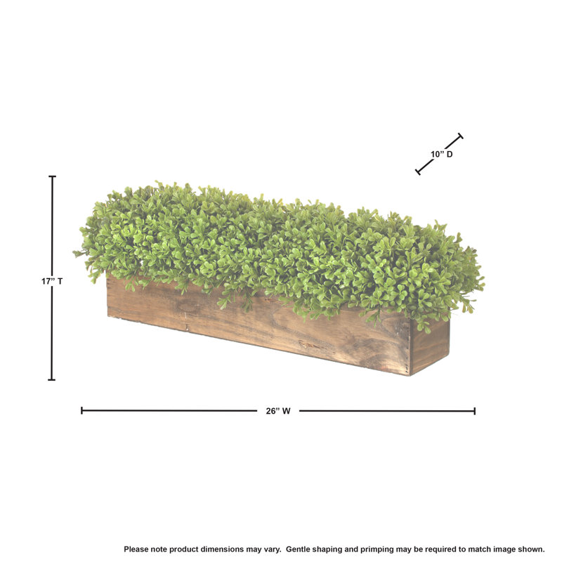 8 " H Faux Boxwood Grass