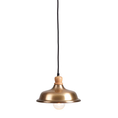 Aleric Wood and Metal Single Dome Pendant Light in Brass