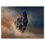 «Black Stallion Horse», reproduction de photo sur toile tendue-29495985