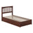 Asparas Solid Wood Platform Bed with Footboard & Roll Out Trundle Bed-838506820-838506824