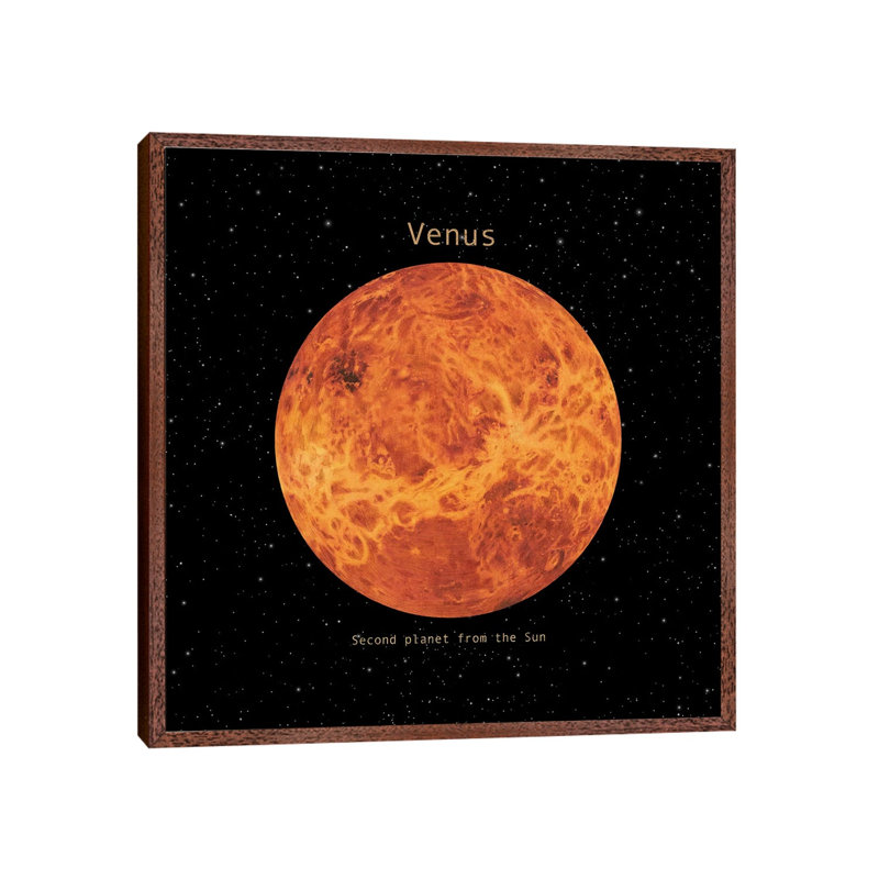 Venus Square by Terry Fan - Floater Frame Gallery-Wrapped Canvas Giclée on Canvas, Brown, 45.72 cm H x 45.72 cm W