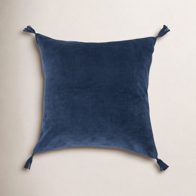 Rodrick 22" x 22" Cotton Throw Pillow