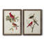 Pl 158 Cardinal Grosbeak - Ensemble de 2 reproductions d'art sur toile-1860529144-1860529151