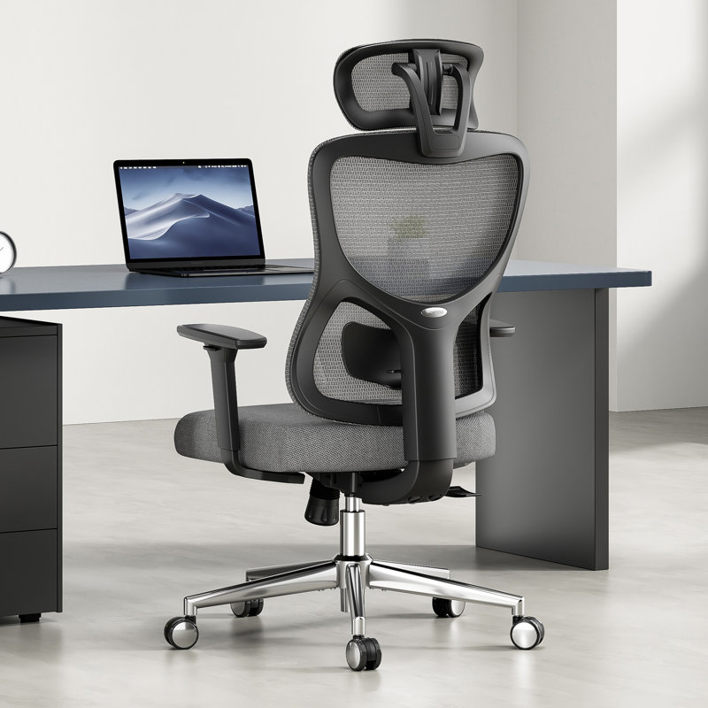 Ergonomic Mesh Office Chair with Multi-adjustable Headrest, Gray