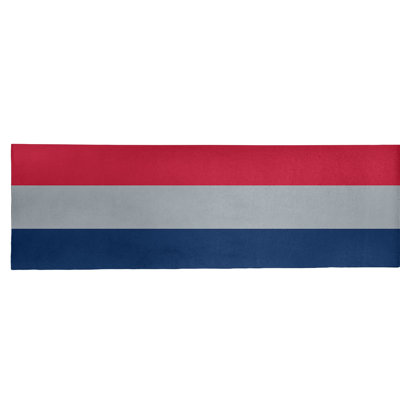 Tapis bleu à rayures de hockey national