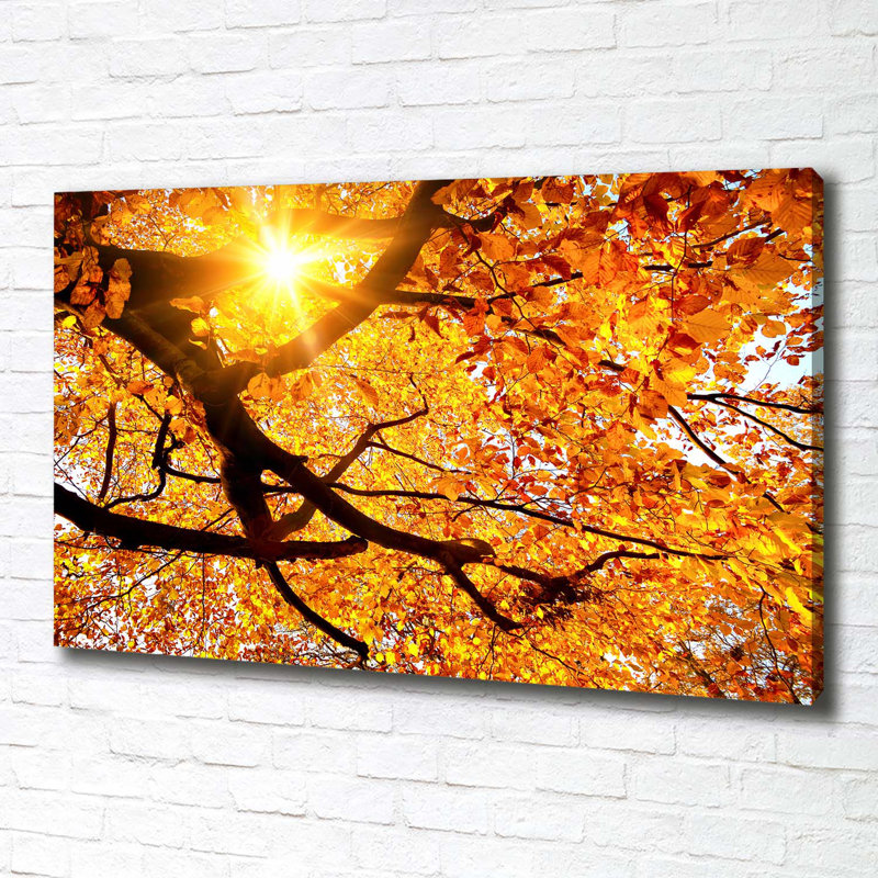 Crown Of Autumn Trees - Wrapped Canvas Print