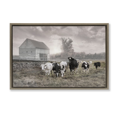 «Cows On The Ranch», art mural sur toile flottant brun