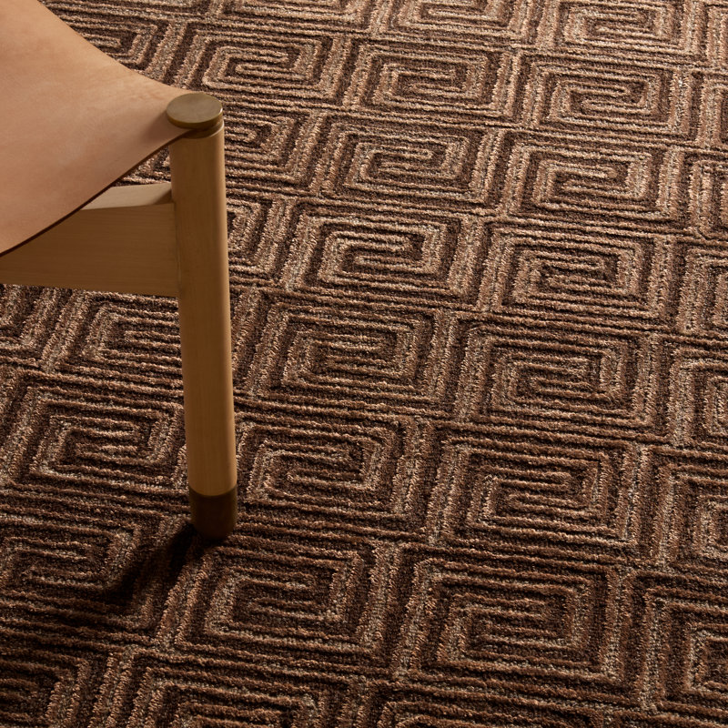 Tapis moderne / contemporain brun touffeté Jaipur Living Harkness (5 pi x 8 pi), Rectangle de 5 pi x 8 pi