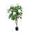 5' Hydrangea Drop-In Tree with Fiberstone Pot