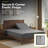 Luxurious Classic Soft Solid 1800 Series Microfiber Sheet Set, Various Colors and Sizes-533257277-432788895