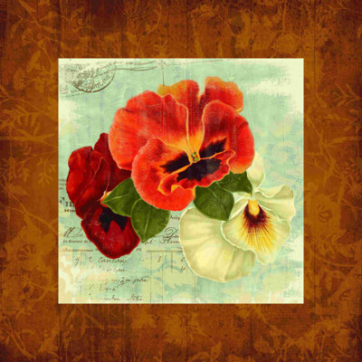 " Pansy "