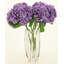 Vibrant Hydrangea Natural Touch, Box Of 6 - 19 Inches-523283674