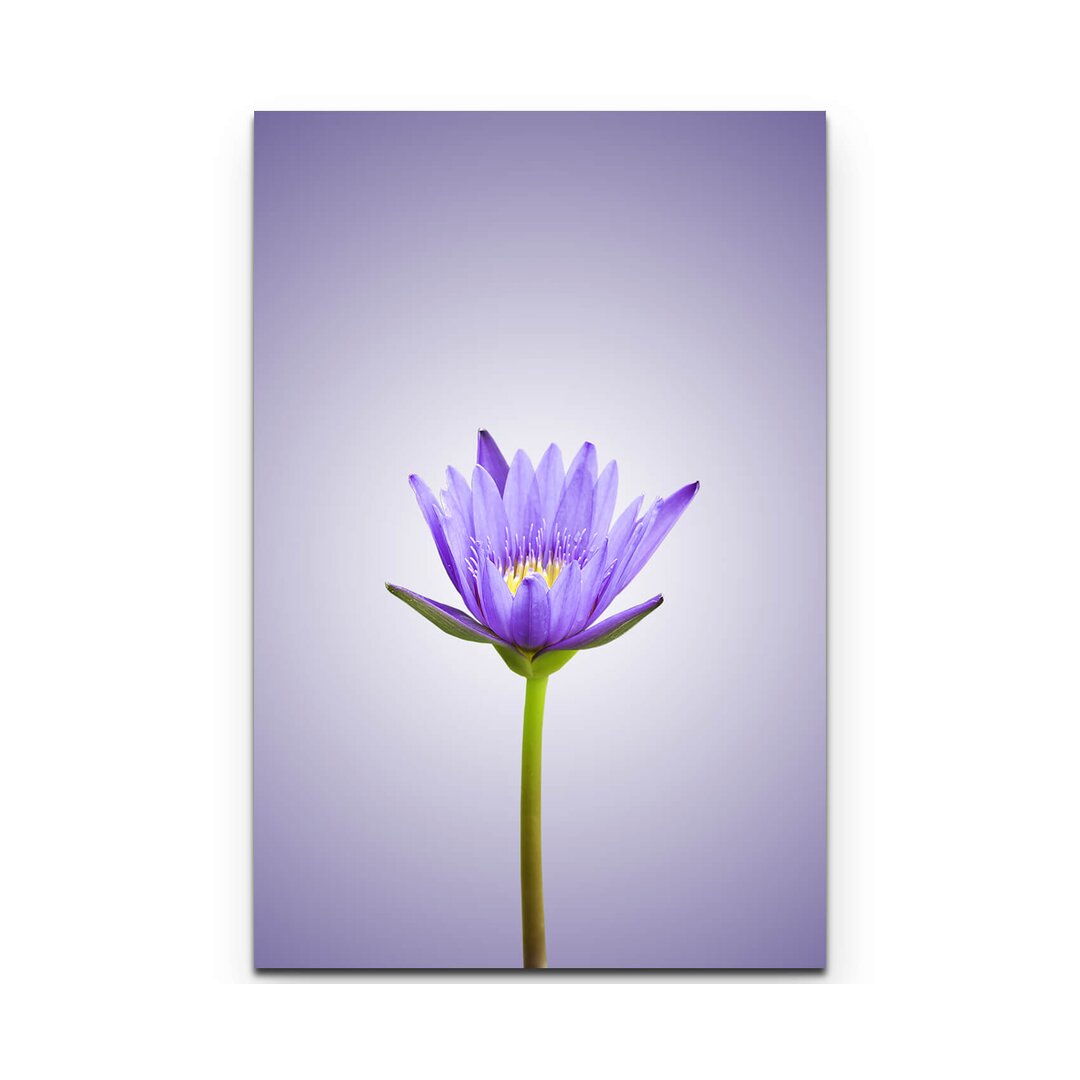 Leinwandbild Lila Lotus – Lila Hintergrund