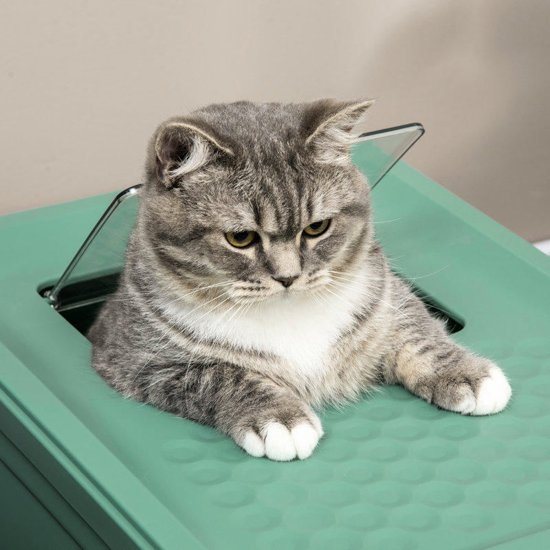 Réducteur d'odeurs extra pliable pour chat