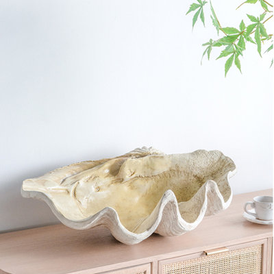 25.3x16.5x8.5" Large Clam Shell Accent