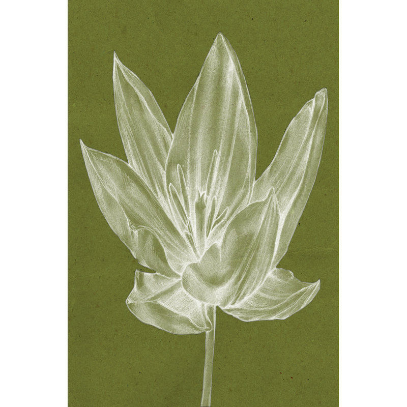 Monochrome Tulip VI by Jennifer Goldberger - Wrapped Canvas Painting, 30cm H x 20cm W