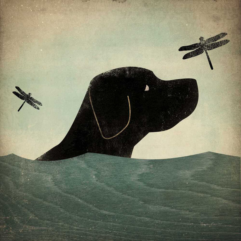 Black Dog Swim, H 30 po x l 30 po