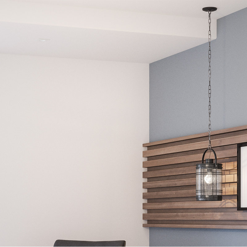 1 - Light Single Pendant