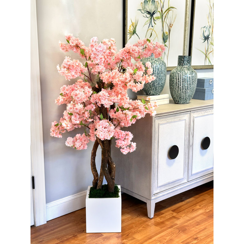 4.5' Cherry Blossom Tree in Square Fiberstone Pot