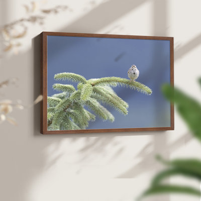 Evergreen Perch -Framed Print - Restickable