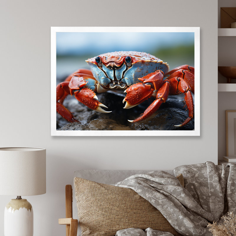 Crab Coastal Guardian sur toile, White Picture Framed, 30" H x 40" W
