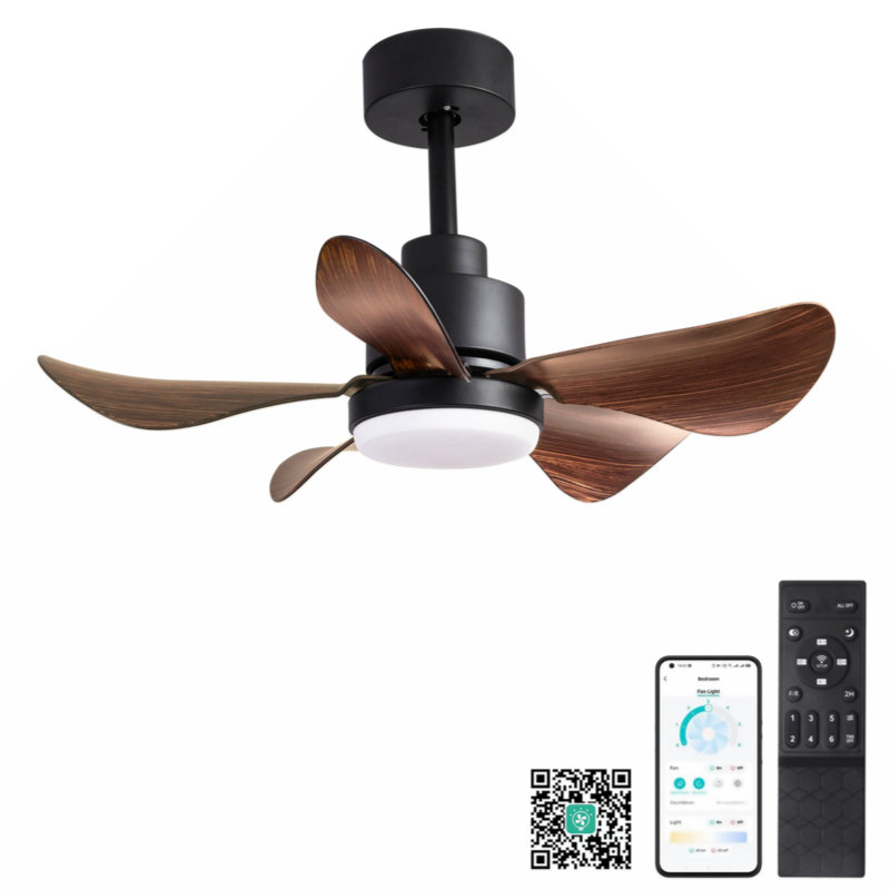 Jeanasia 24'' Ceiling Fan with Light Kit