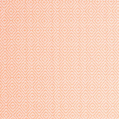 Suite Never Fret Io Fabric