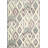 Braswell Performance Ikat Rug-19263295