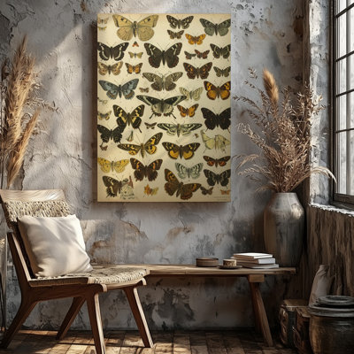 Toile, art mural Une assiette entomologique rétro très détaillée présentant une vaste collection de qualité supérieure prête à être accrochée
