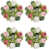 Rose est en rupture de stock