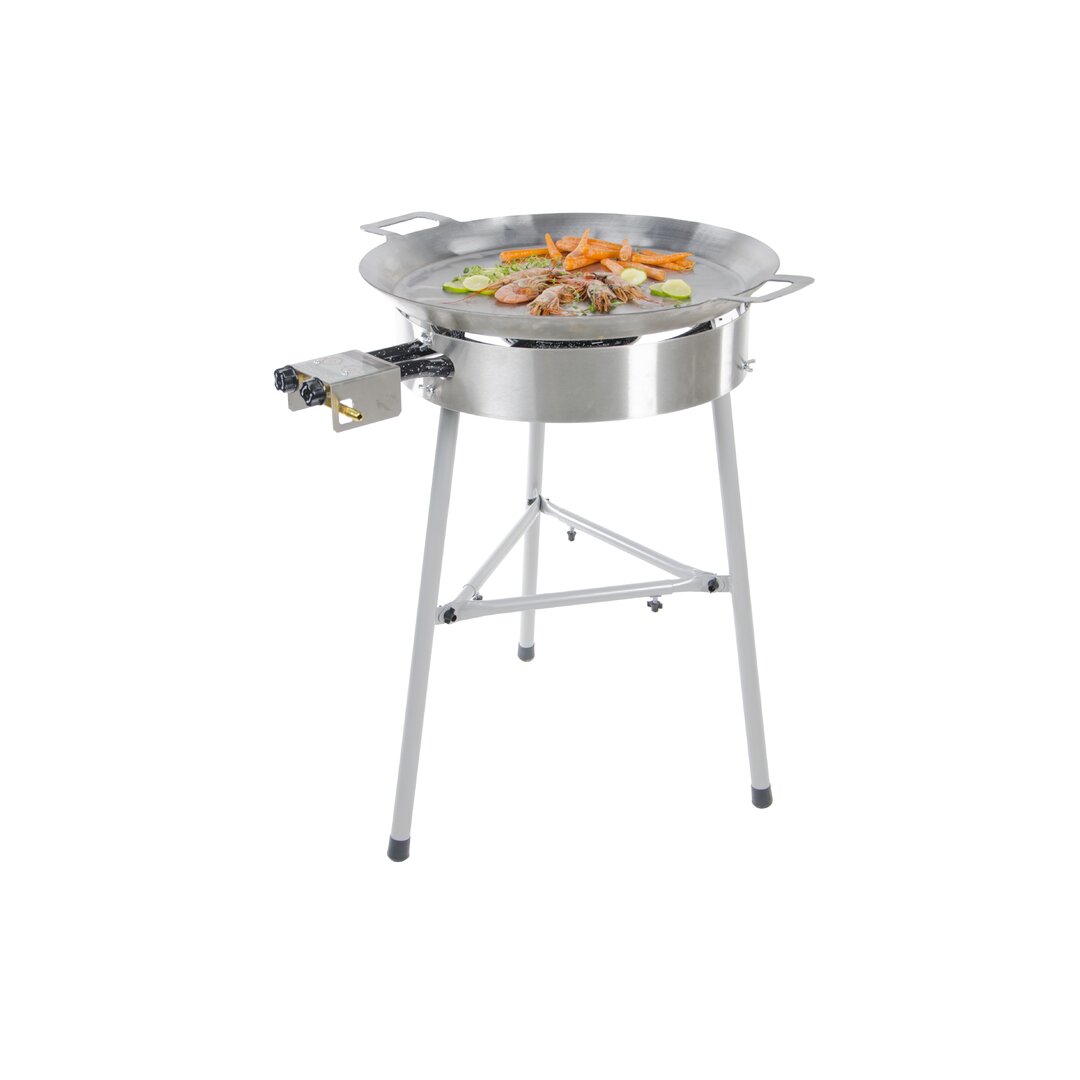 58 cm Propan-Gasgrill mit 2 Brennern