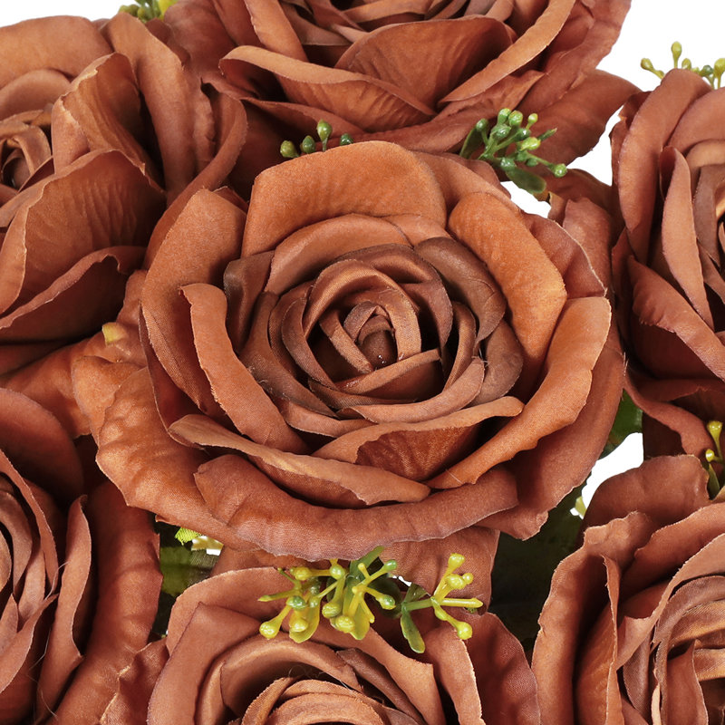 Doux rosier, Brown
