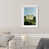 White Shadowbox