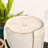 Rorer Ceramic / Porcelain Weather Resistant Urn Fountain with Lights-85355217-85355212
