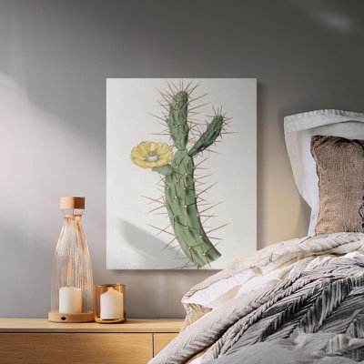 Herrin Wrapped Canvas Print Set