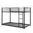 Bunk Bed Low Bunk Bed With Ladder-18588672-54189635