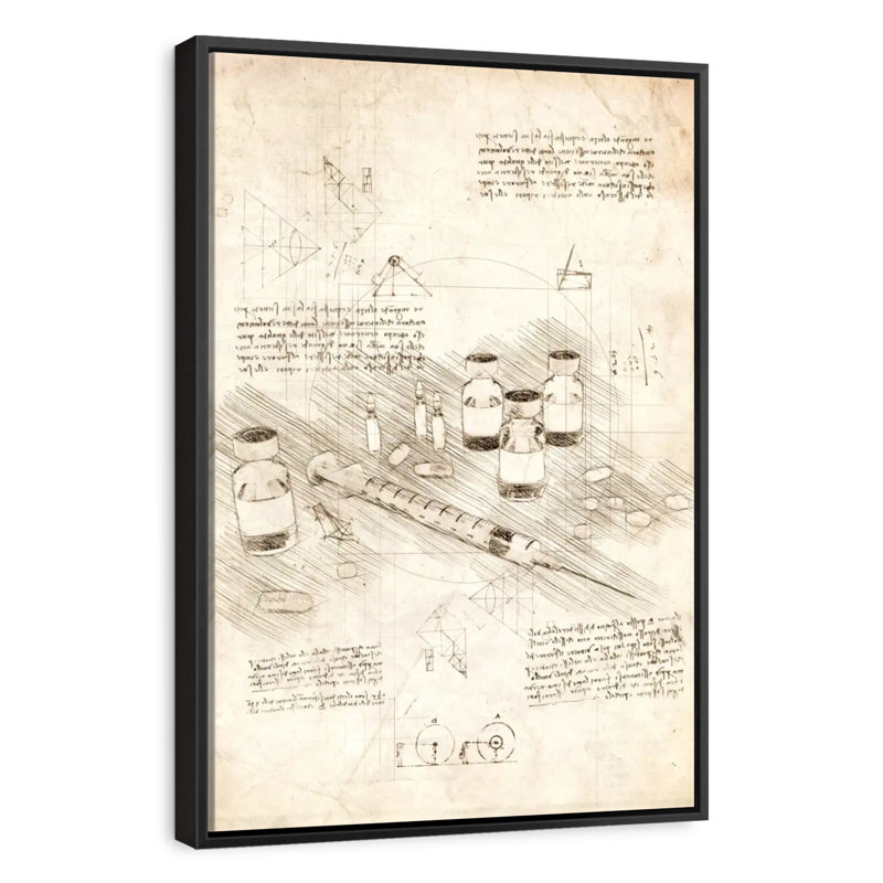 Seringues, Cadre flottant noir, 29 po x 43 po