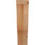 Attelle de genou Funston-1812888344-1812888343-1812888567