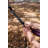 Travelnest Hammock + Straps Combo-94104083