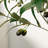 48" Faux Olive Tree in Pot