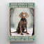 «Who Really Lown Dogs», impression rectangle de 1 pièce «Who Really Lown Dogs», impression rectangle de 1 pièce, impression sur toile tendue-1656389428