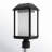 Adonis Seeded Lantern Head