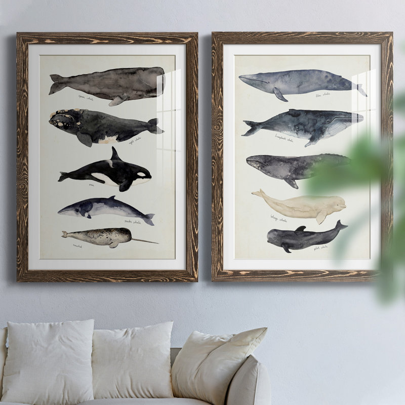 Baleine graphique I - ensemble de 2 cadres photo, H 24 po x l 36 po, Impression encadrée, Noyer