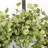 26" Faux Everyday Greenery Foliage Front Door Wreath