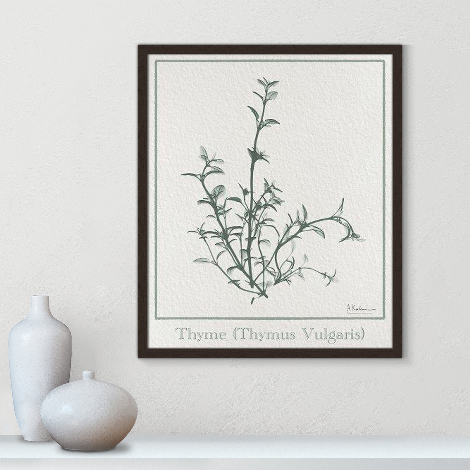 Jeanette "Thymus Vulgaris" Print, 25.5" H x 21.5" W x 1.25" D, Open Grain Walnut Framed Paper