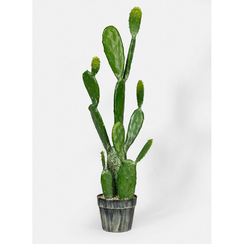 35'' Faux Cactus Succulent in Pot