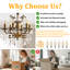 Chandelier-506168950-506168951