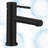 Single Hole Single Handle Bathroom Faucet-107439079