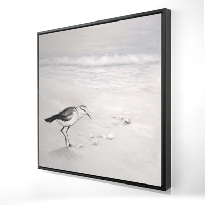 " Semipalmated Sandpiper "