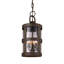Barbosa 3 - Light LED Outdoor Hanging Lantern